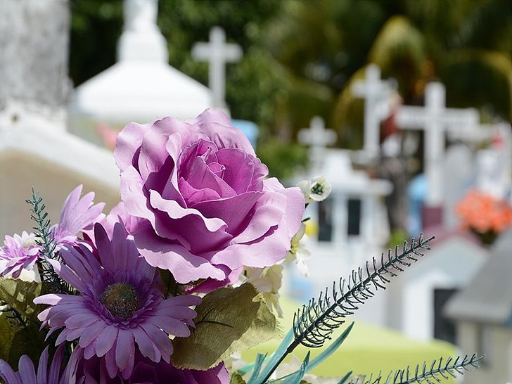 묘지 앞 꽃