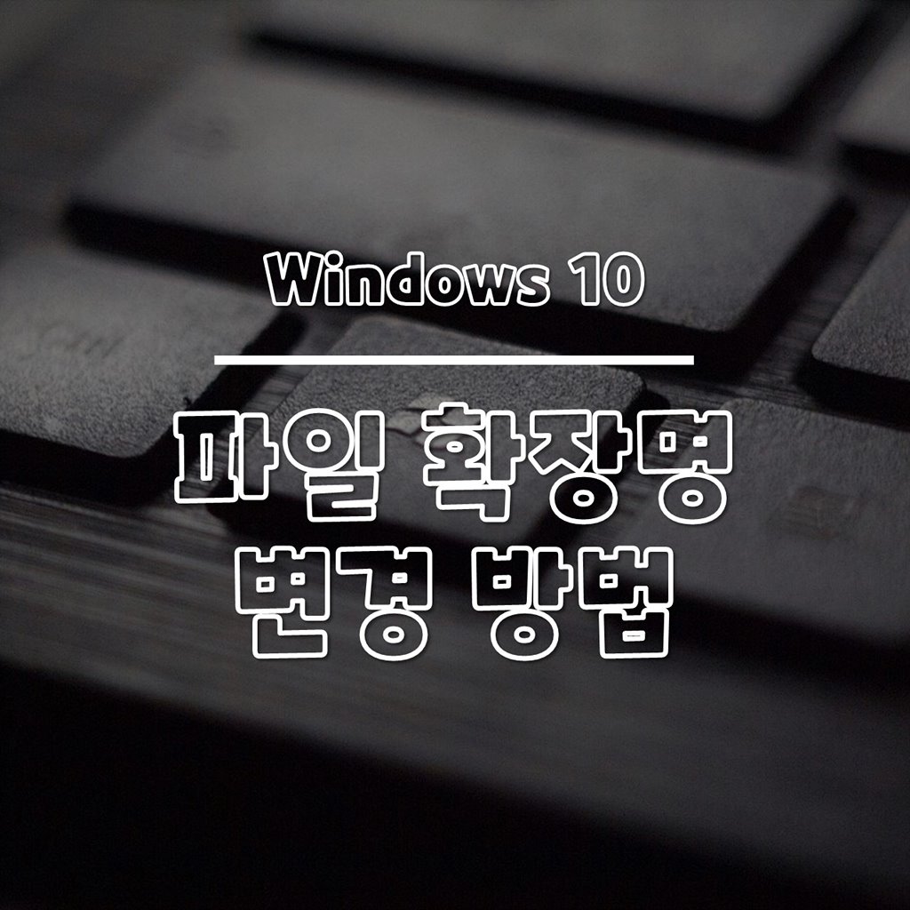 윈도우10 파일 확장명 간단하게 변경하는 방법 썸네일